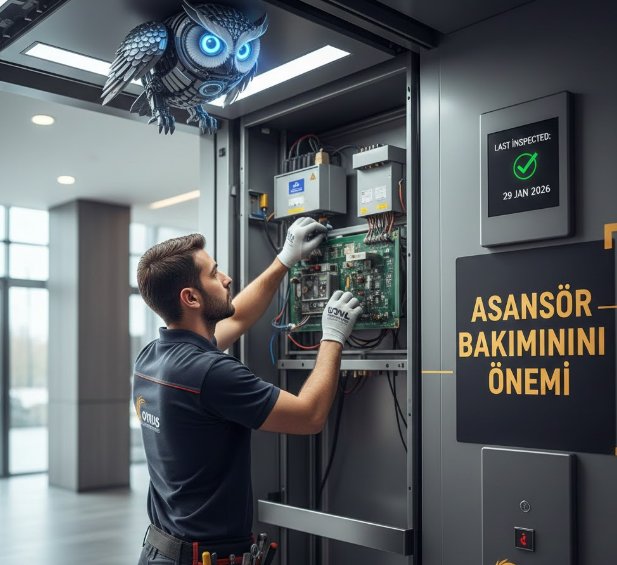 Asansör Bakımının Önemi ve Baykuş Asansör Hizmetleri